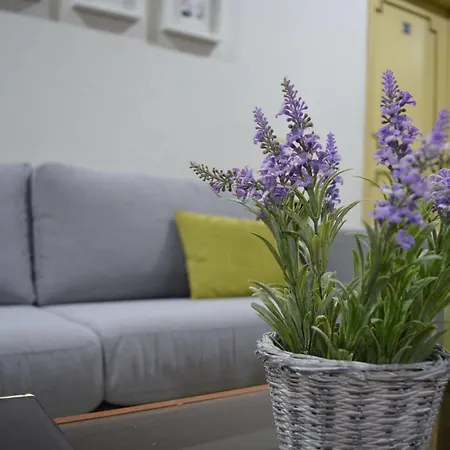 Guest house Residencial Centro Comercial Avenida Bragashopping Braga